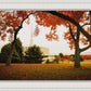 Provo Sanctuary