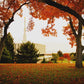 Provo Sanctuary