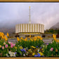 Provo Spring Tulips