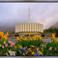 Provo Spring Tulips