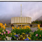 Provo Spring Tulips