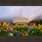 Provo Spring Tulips