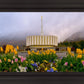 Provo Spring Tulips