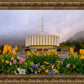 Provo Spring Tulips