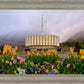 Provo Spring Tulips