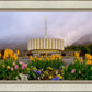 Provo Spring Tulips