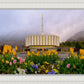 Provo Spring Tulips