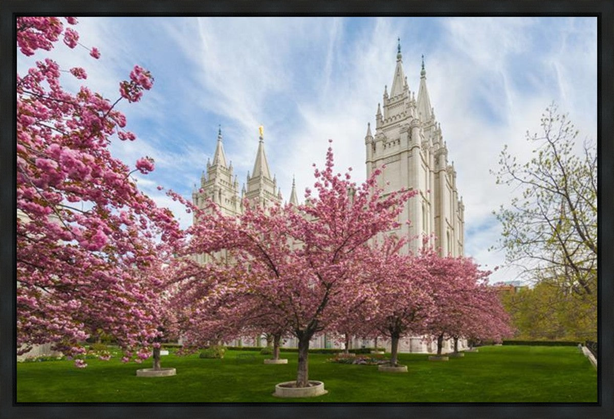 Salt Lake Spring Blossoms Gallery Wrap