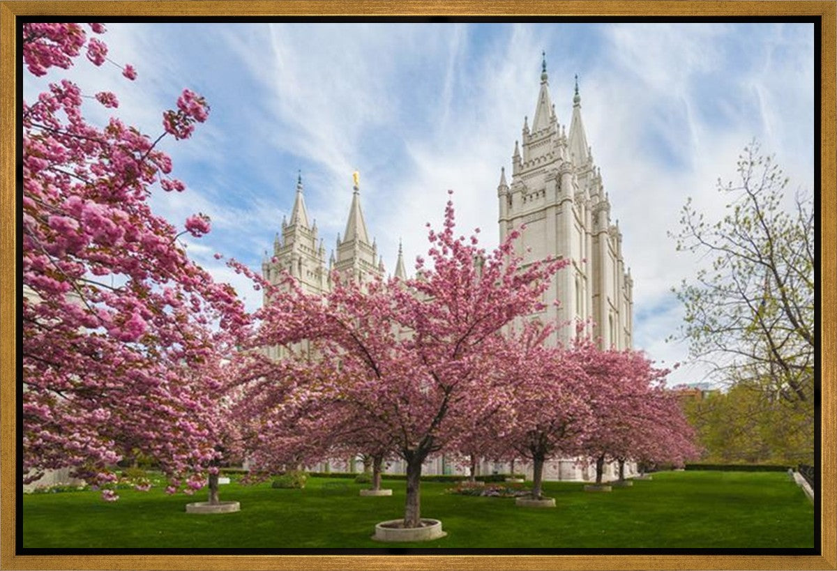 Salt Lake Spring Blossoms Gallery Wrap