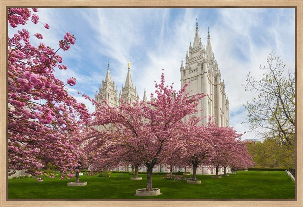 Salt Lake Spring Blossoms Gallery Wrap