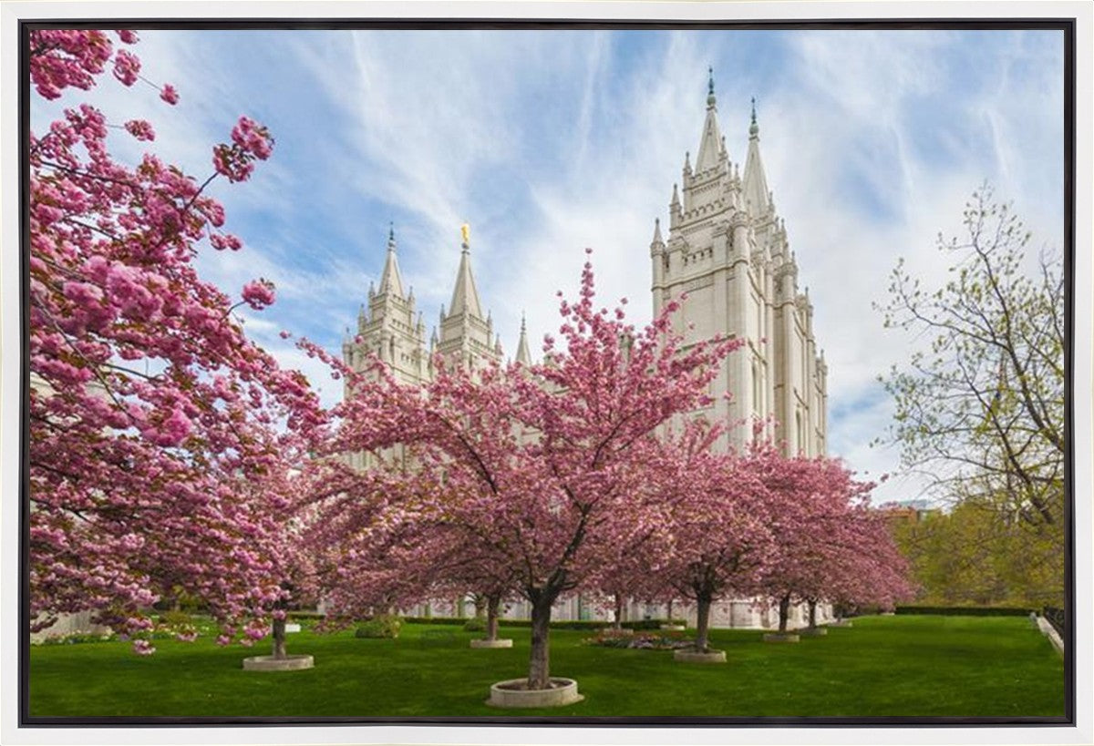 Salt Lake Spring Blossoms Gallery Wrap