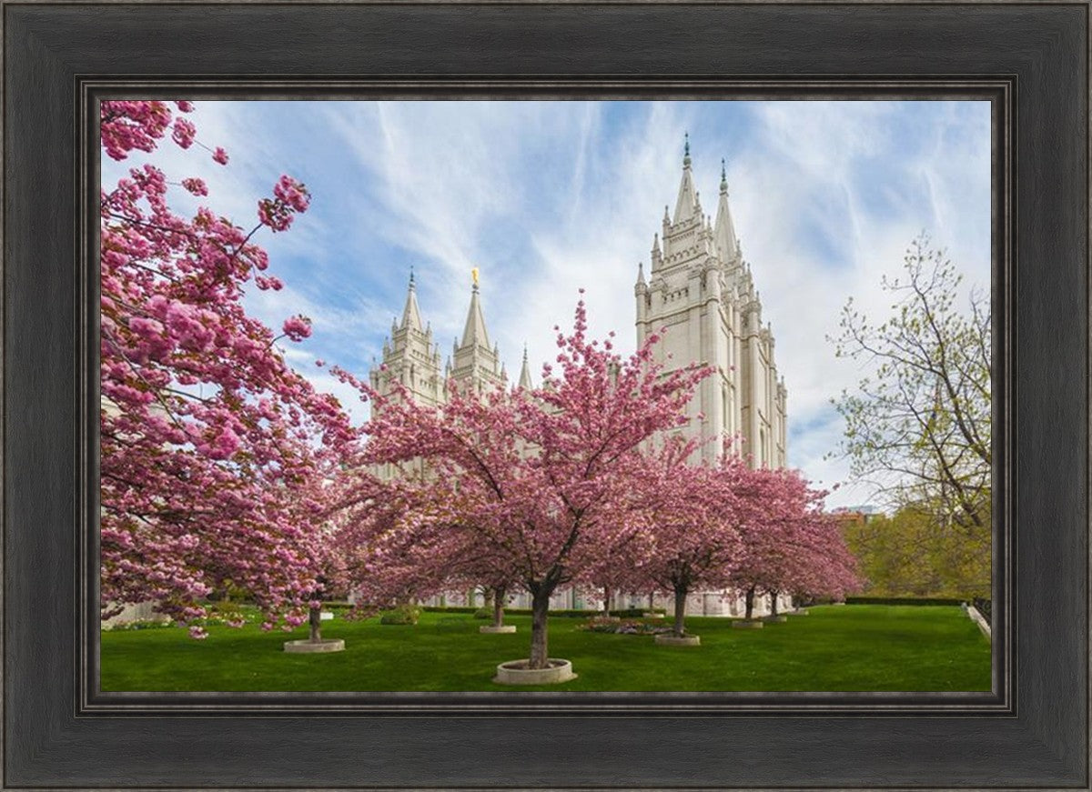 Salt Lake Spring Blossoms