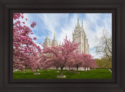 Salt Lake Spring Blossoms
