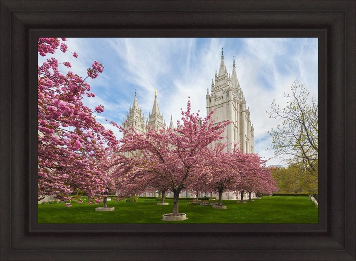 Salt Lake Spring Blossoms