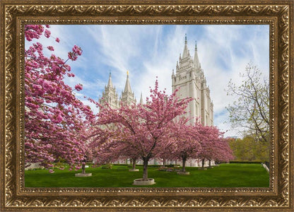 Salt Lake Spring Blossoms