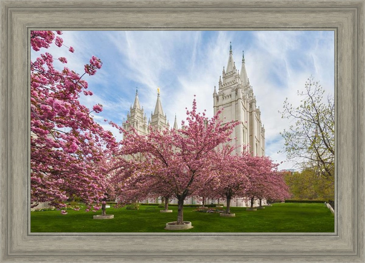 Salt Lake Spring Blossoms