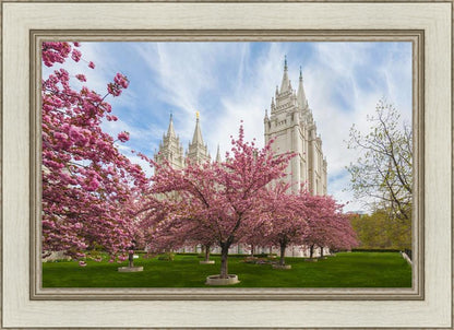 Salt Lake Spring Blossoms