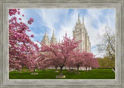 Salt Lake Spring Blossoms