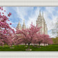 Salt Lake Spring Blossoms