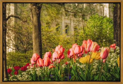 Salt Lake in the Garden