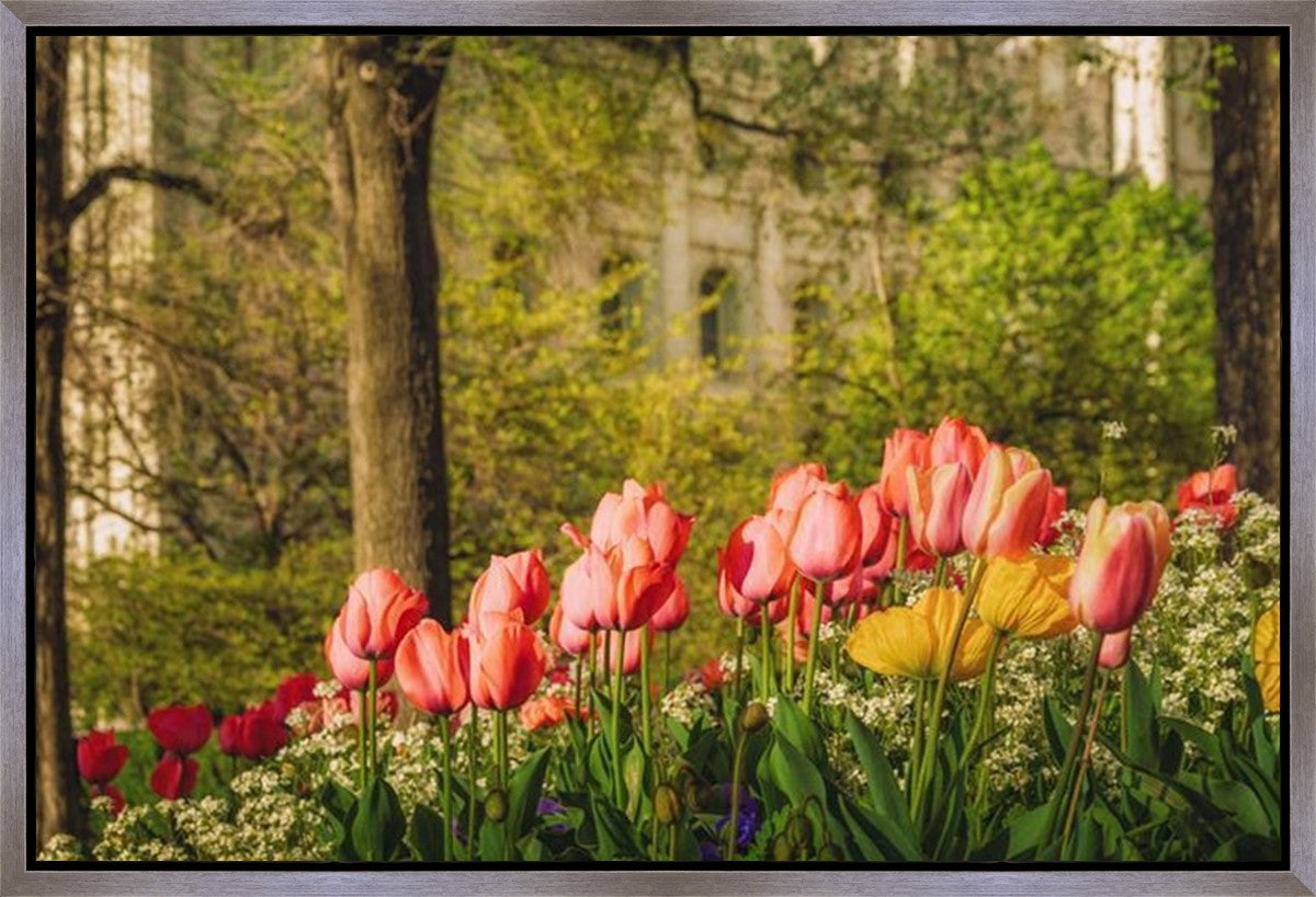 Salt Lake In The Garden Gallery Wrap