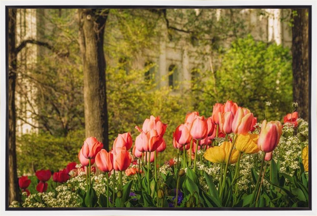 Salt Lake In The Garden Gallery Wrap