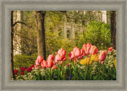 Salt Lake in the Garden