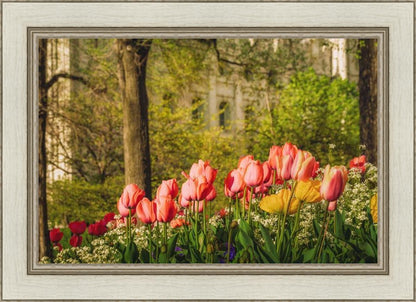 Salt Lake In The Garden