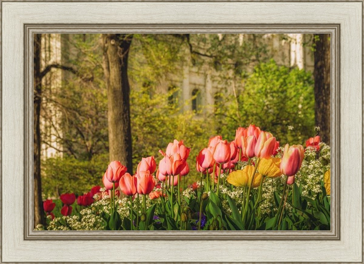 Salt Lake in the Garden