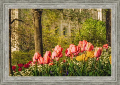 Salt Lake In The Garden