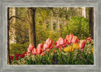 Salt Lake in the Garden