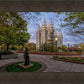 Salt Lake Light Unto My Path
