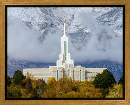 Mt. Timpanogos Hillside