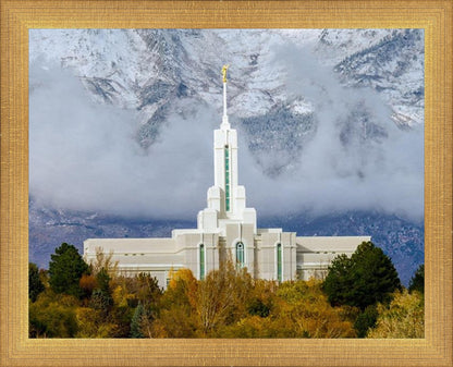 Mt. Timpanogos Hillside
