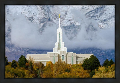 Mt. Timpanogos Hillside