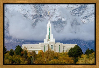 Mt. Timpanogos Hillside