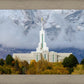 Mt. Timpanogos Hillside