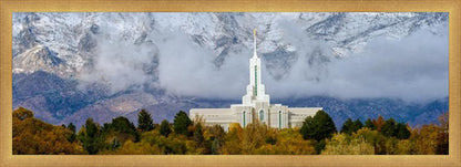 Mt. Timpanogos Hillside