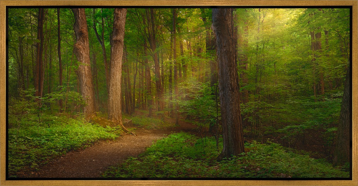 Sacred Grove Gallery Wrap