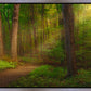 Sacred Grove Gallery Wrap