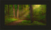 Sacred Grove