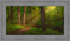 Sacred Grove