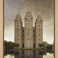Salt Lake Shelter from the Storm