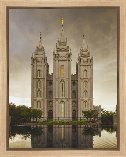 Salt Lake Shelter from the Storm