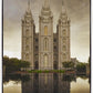 Salt Lake Shelter from the Storm