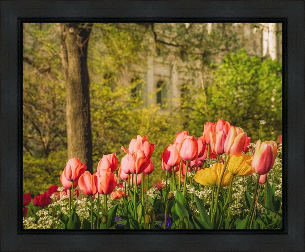 Salt Lake In The Garden Gallery Wrap