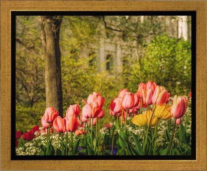 Salt Lake in the Garden
