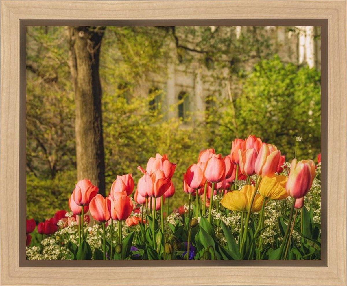 Salt Lake In The Garden Gallery Wrap