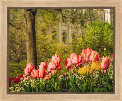 Salt Lake in the Garden