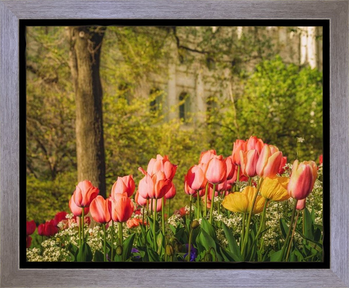Salt Lake In The Garden Gallery Wrap